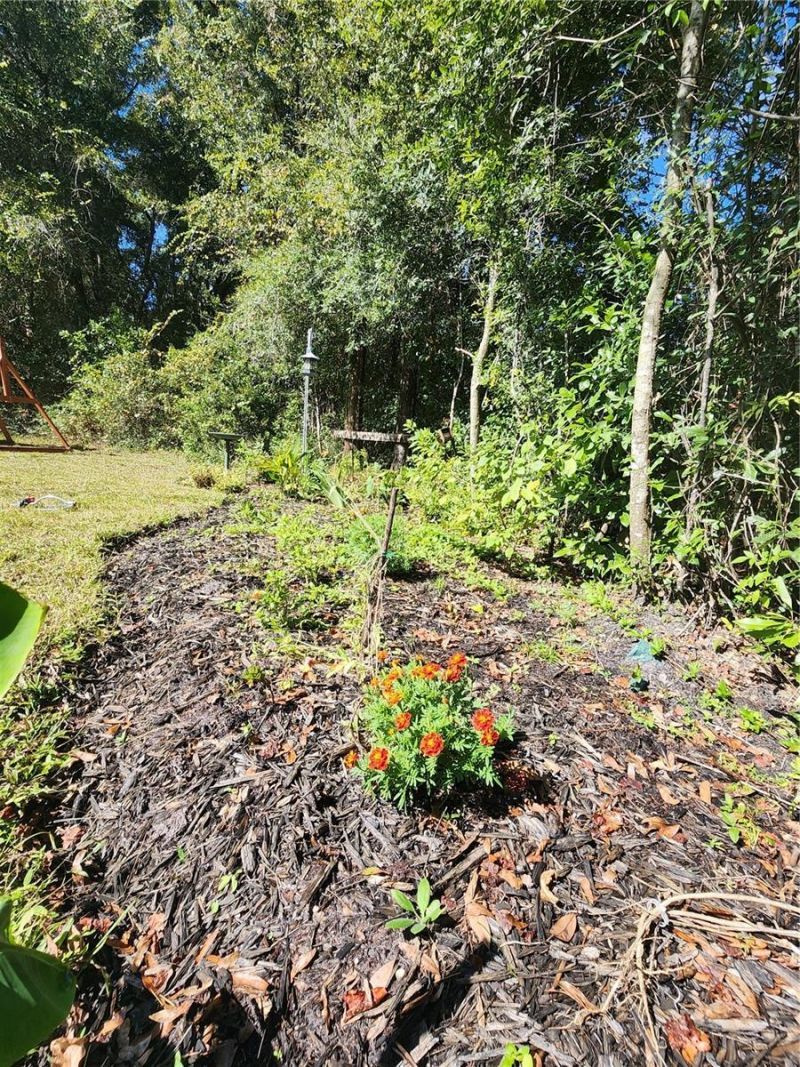 7910 NW 141st Street , Trenton, FL 32693 Photo