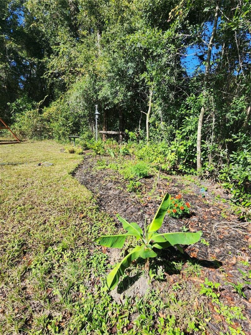 7910 NW 141st Street , Trenton, FL 32693 Photo