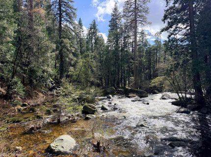 13301 Us-50, Kyburz, CA 95720 Photo