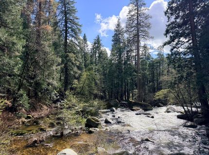 13301 Us-50, Kyburz, CA 95720 Photo