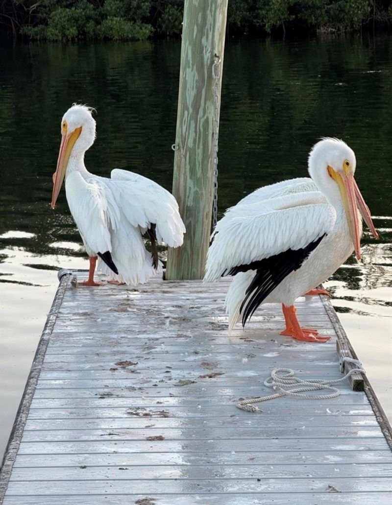 8 6th Street, Bradenton, FL 34210 Photo