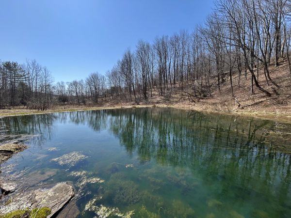 137 Easy Street, Stamford, NY 12167