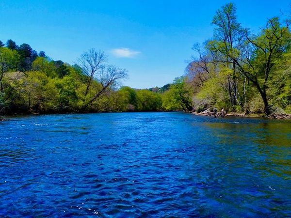 00 Toccoa River Forest, Mineral Bluff, GA 30559