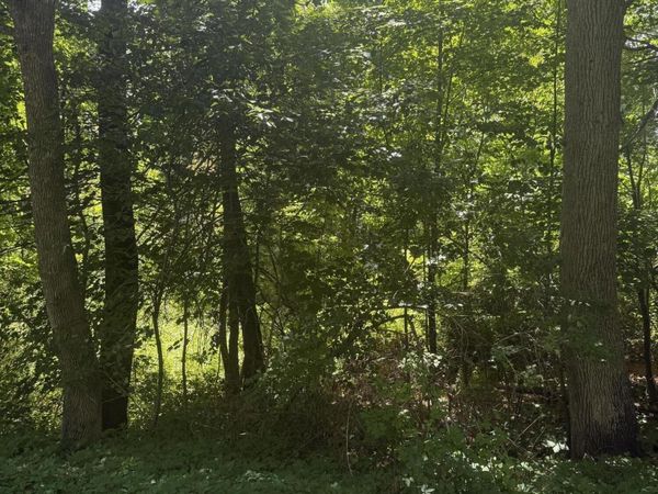 0 Patterson Hill Road, Unit Lot 2, Belfast, ME 04915