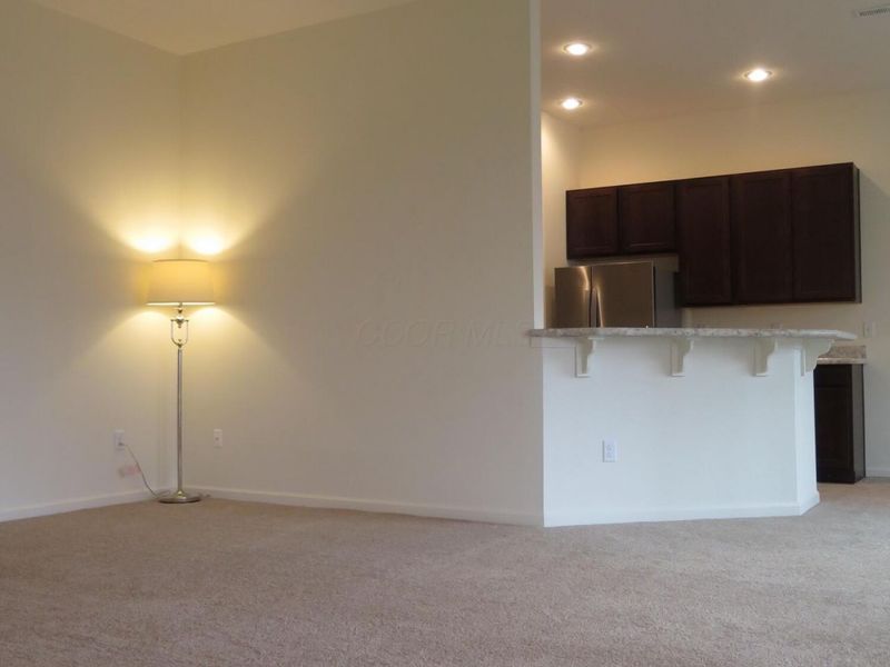 541 Wintergreen Way, Lewis Center, OH 43035 Photo 10