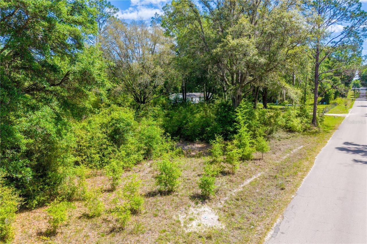 Tbd SW 52nd Terrace, Lake Butler, FL 32054 Photo