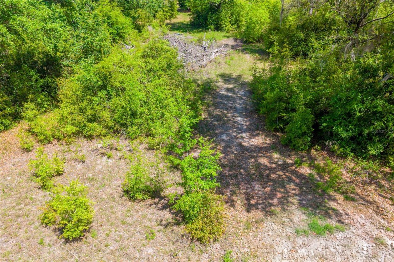 Tbd SW 52nd Terrace, Lake Butler, FL 32054 Photo