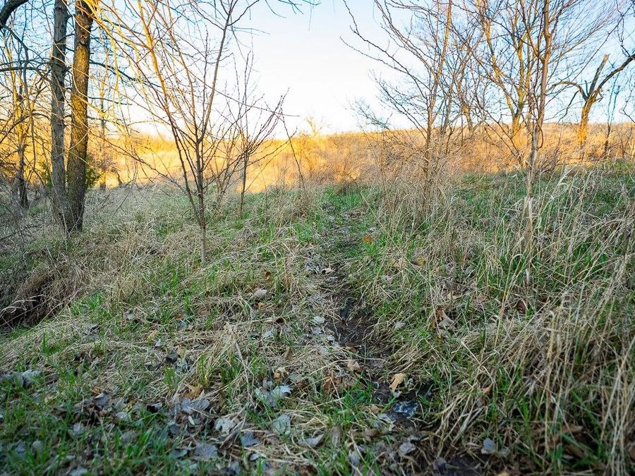 Property Image 31