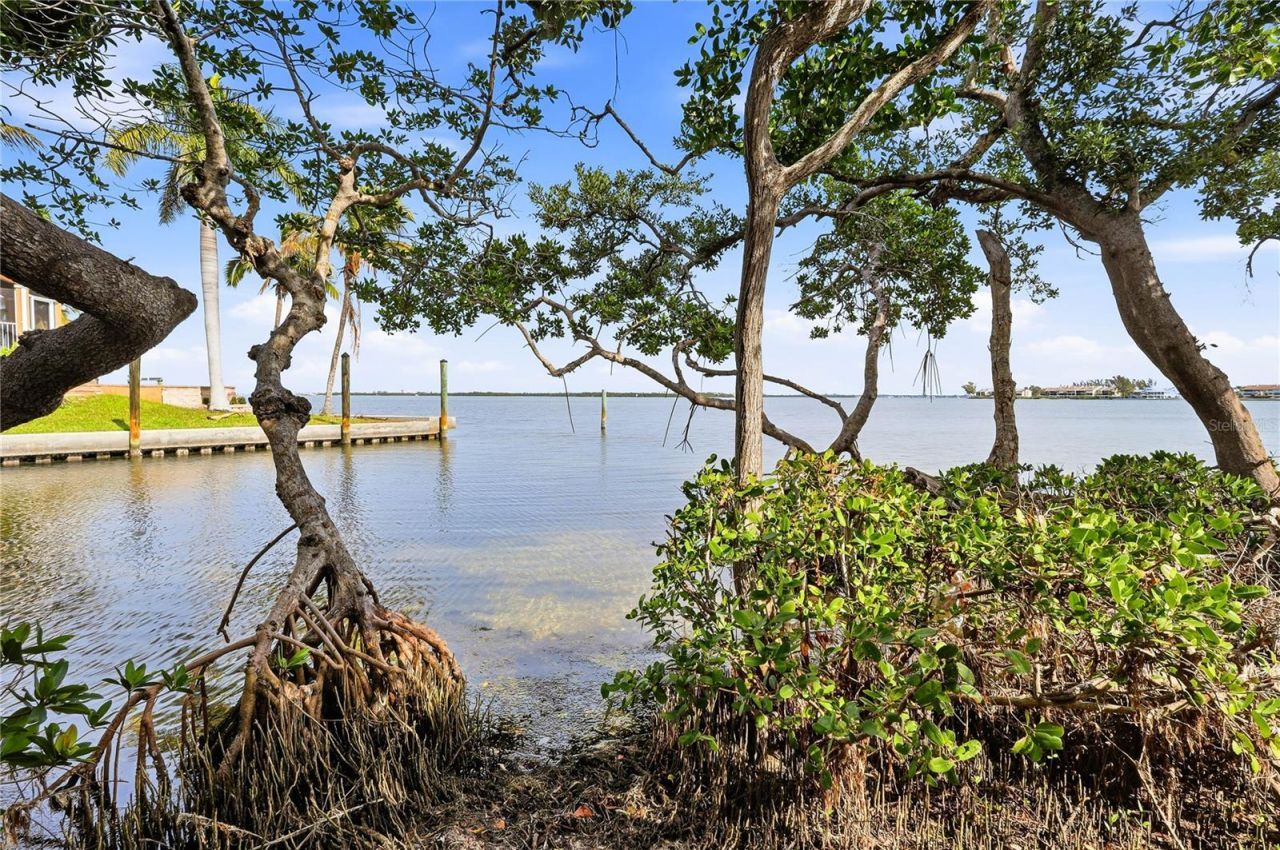 1801 Gulf Drive N, Unit 142, Bradenton Beach, FL 34217 Photo