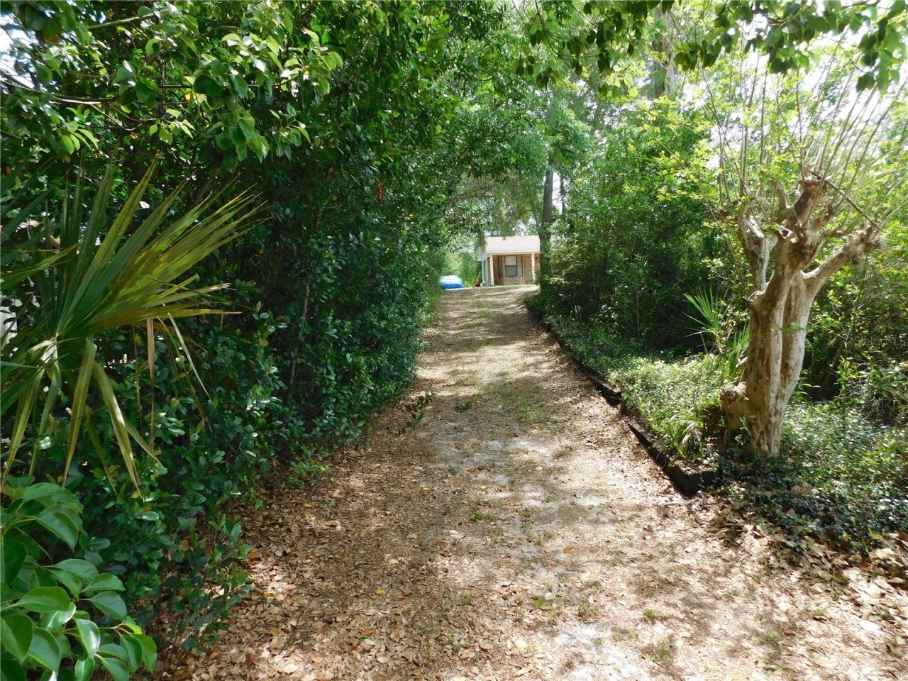 208 Orange Ridge Circle , Longwood, FL 32779 Photo