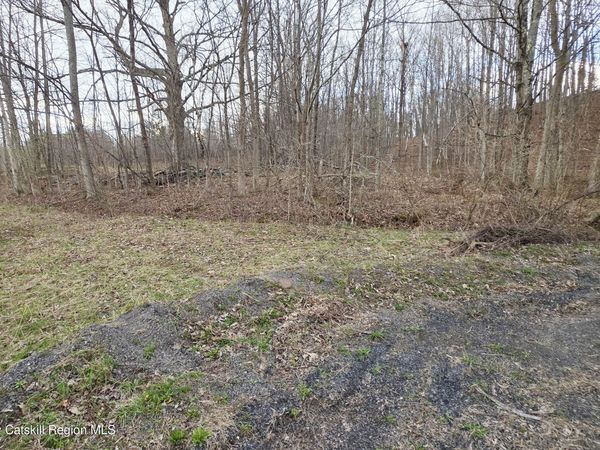 0 Flinn Road, Cornwallville, NY 12418