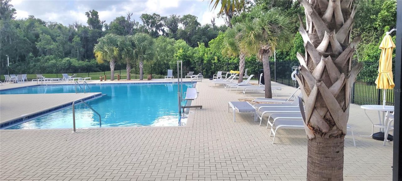 1681 Red Loop , Lakeland, FL 33801 Photo