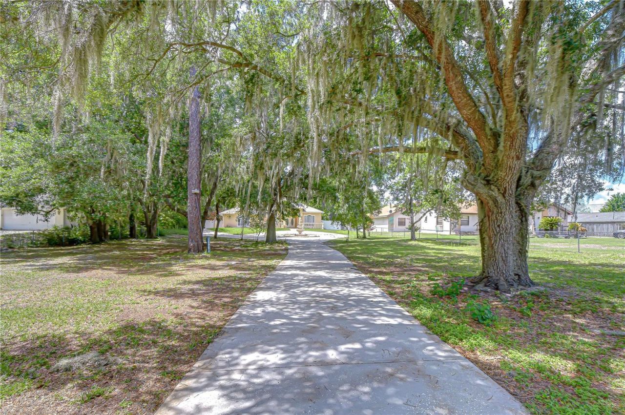 6213 Parkway Boulevard , Land O Lakes, FL 34639 Photo