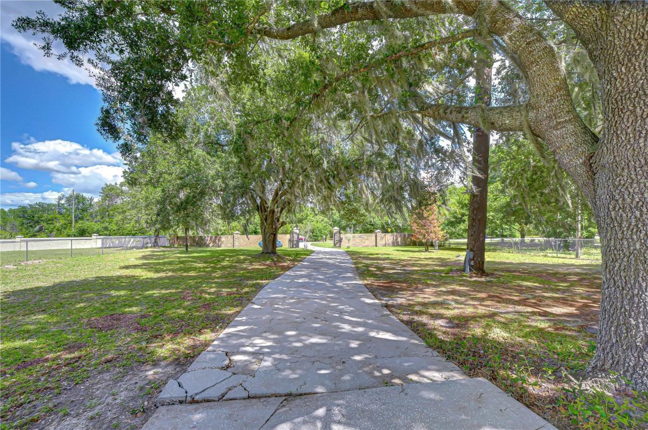 6213 Parkway Boulevard , Land O Lakes, FL 34639 Photo