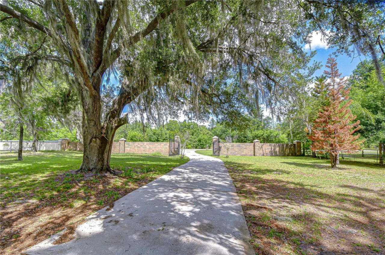6213 Parkway Boulevard , Land O Lakes, FL 34639 Photo