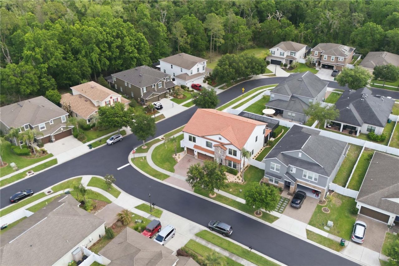 2602 Bartolo Drive , Land O Lakes, FL 34639 Photo