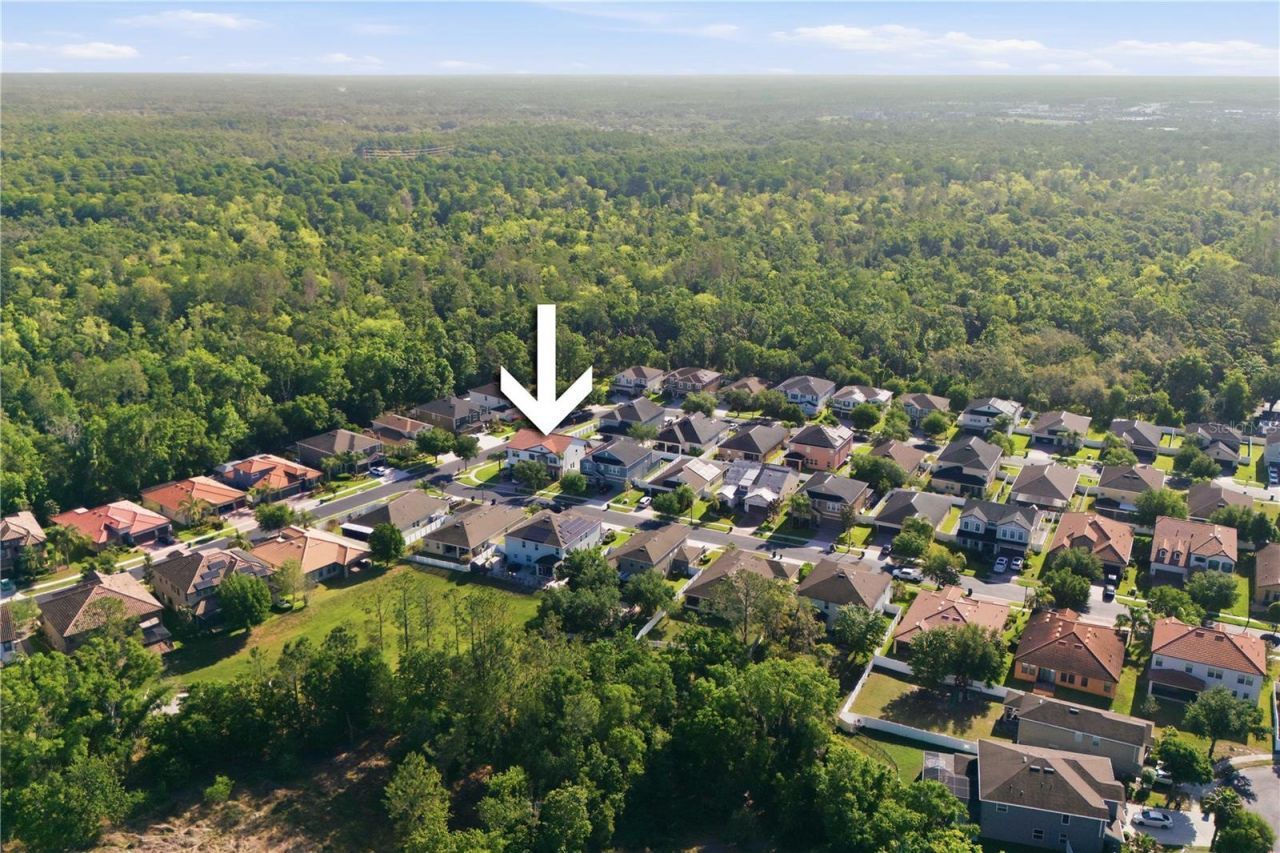 2602 Bartolo Drive , Land O Lakes, FL 34639 Photo