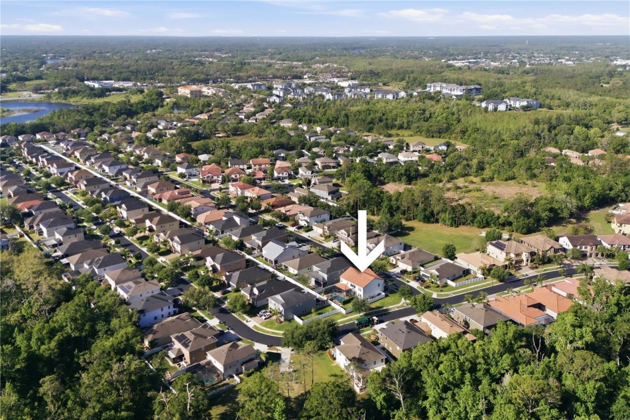 2602 Bartolo Drive , Land O Lakes, FL 34639 Photo