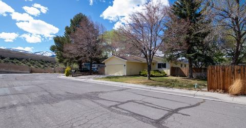162 Jumbo Court, Carson City, NV 89706 Photo
