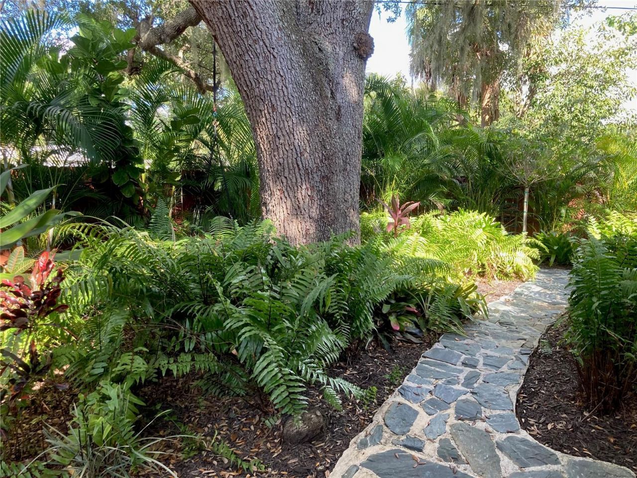 1415 S School Avenue , Sarasota, FL 34239 Photo