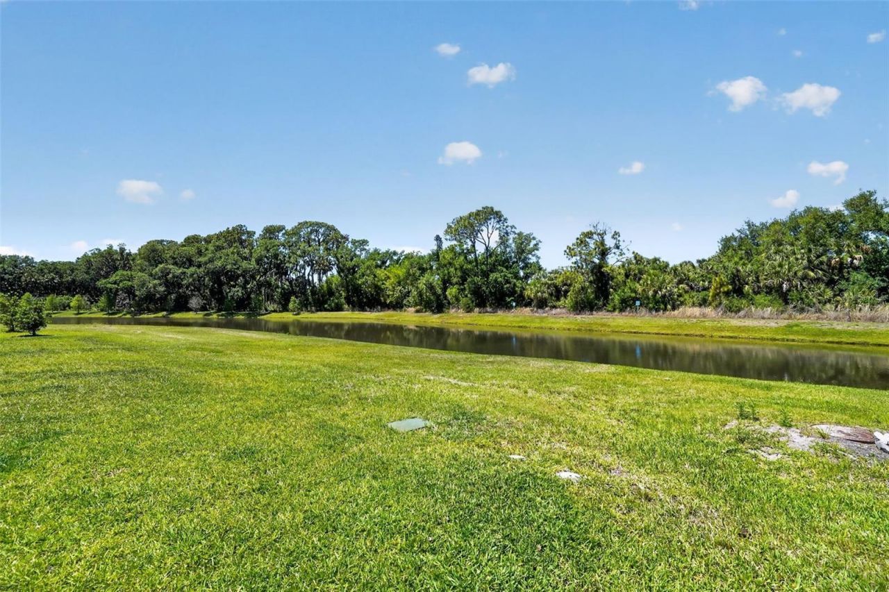 8131 Tea Olive Terrace, Palmetto, FL 34221 Photo