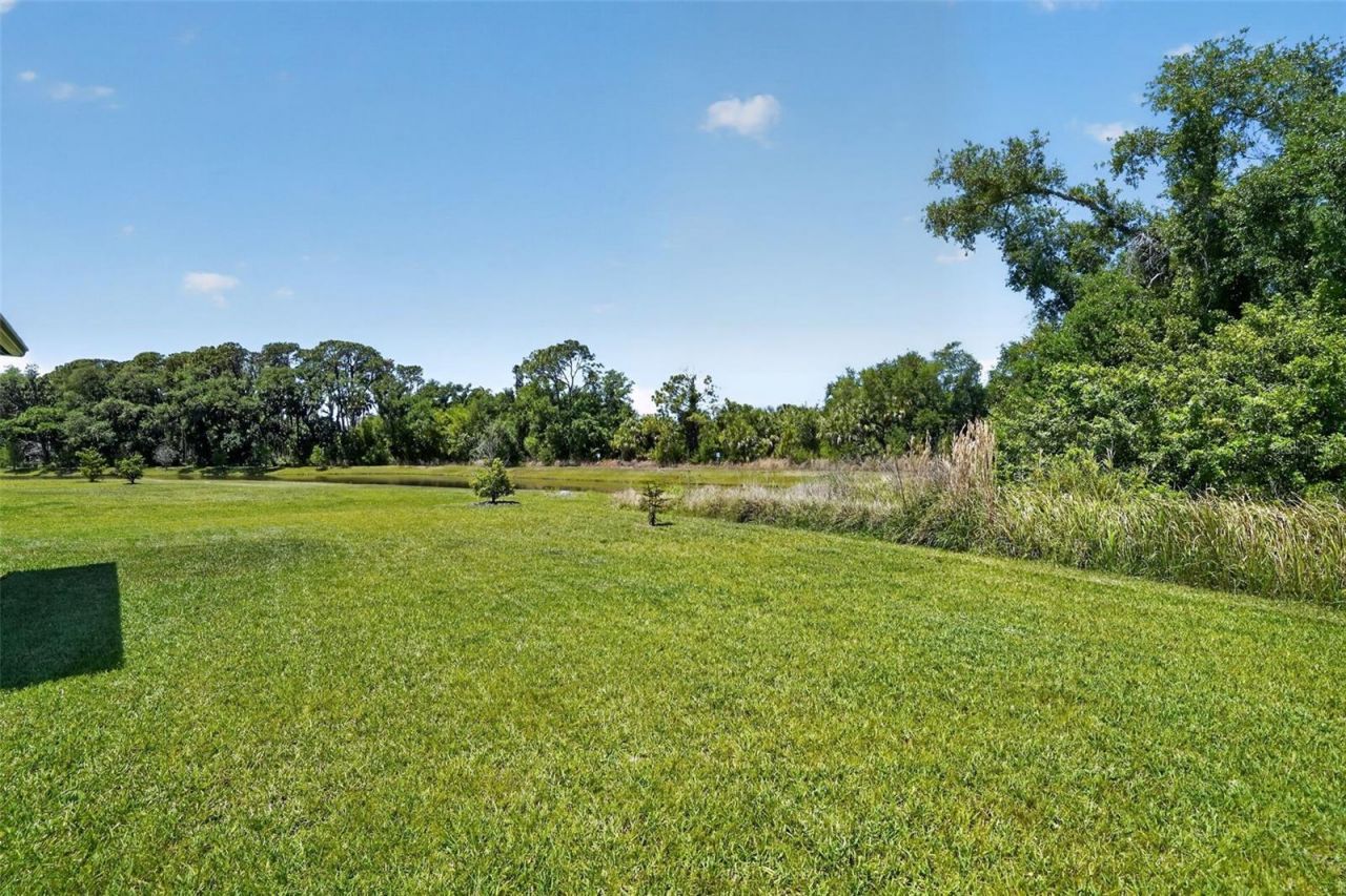 8131 Tea Olive Terrace, Palmetto, FL 34221 Photo