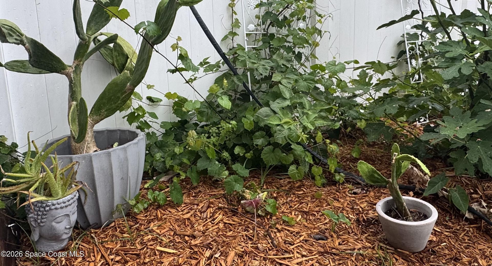 414 Hancock Street Sw, Palm Bay, FL 32908 Photo