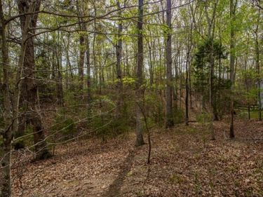 0 TURKEYSAG TRL , Palmyra, VA 22963