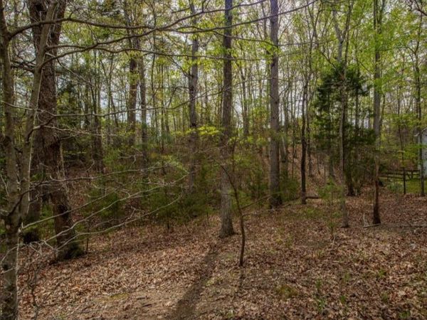 0 TURKEYSAG TRL , Palmyra, VA 22963