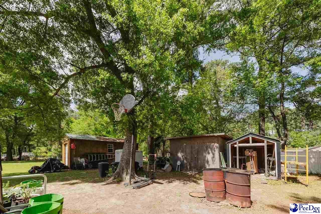 1774 Williamsburg Circle Photo 25