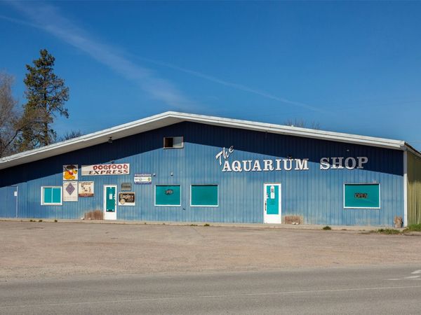 1001 Us Hwy 2 E, Kalispell, MT 59901