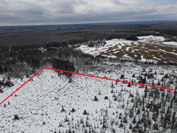 Near Gristmill Road, Baraga Twp, MI 49908