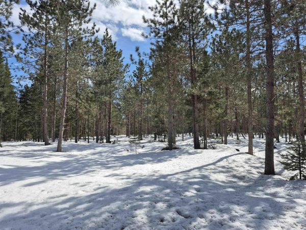 20 Acres off Flodin Road, Thompson Twp, MI 49854