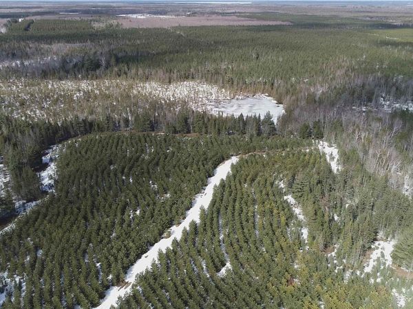 40 Acres off Flodin Road, Thompson Twp, MI 49854