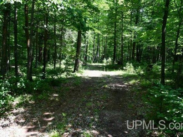 Lot#26 Fordville Road, Breen Twp, MI 49834