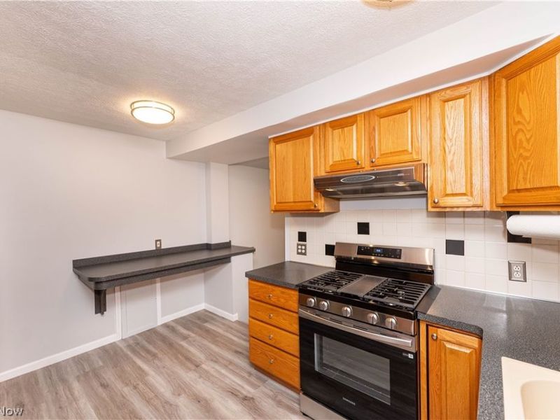 1309 Genesee Avenue, Mayfield Heights, OH 44124 Photo 7