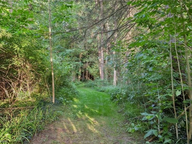 10571 Mayfield Road, Chesterland, OH 44026 Photo 26