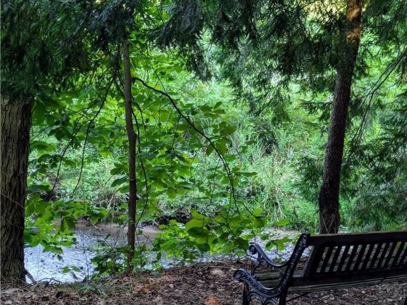 10571 Mayfield Road, Chesterland, OH 44026 Photo 27