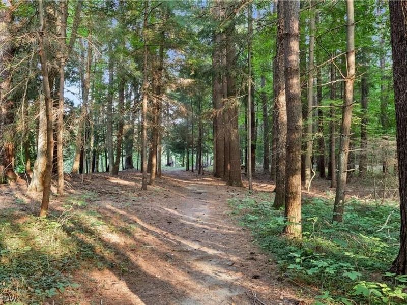 10571 Mayfield Road, Chesterland, OH 44026 Photo 28