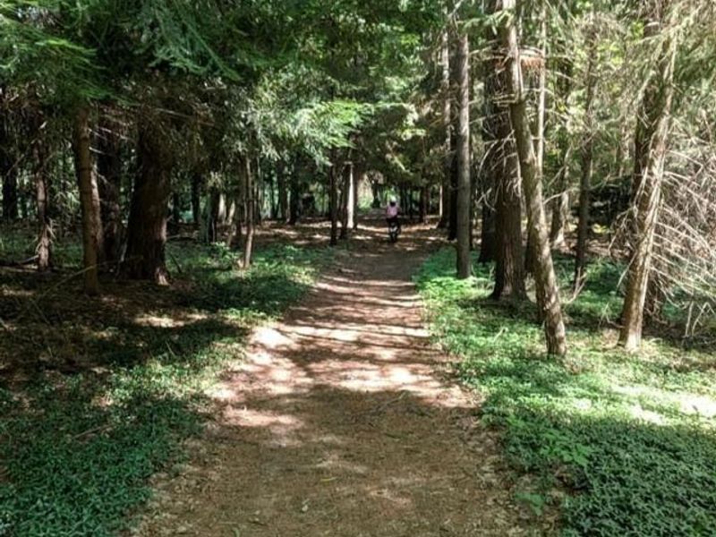 10571 Mayfield Road, Chesterland, OH 44026 Photo 31