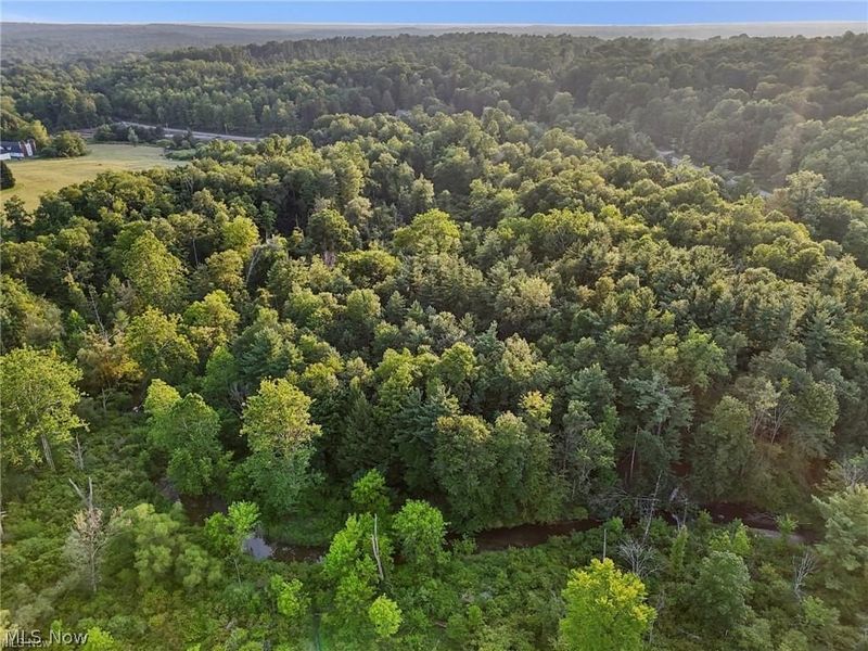 10571 Mayfield Road, Chesterland, OH 44026 Photo 36