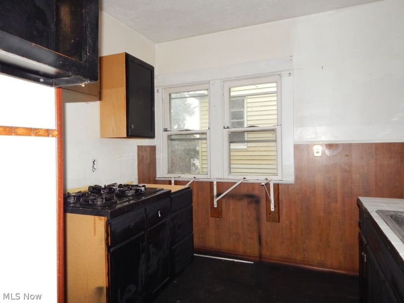 1126 E 147th Street, Cleveland, OH 44110 Photo 18