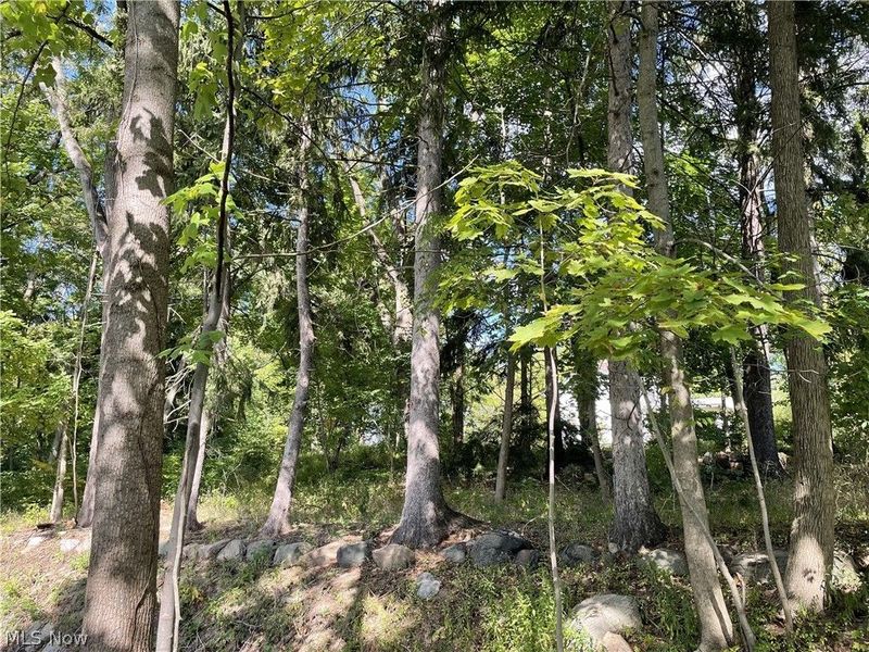 3050 State Road, Cuyahoga Falls, OH 44223 Photo 30