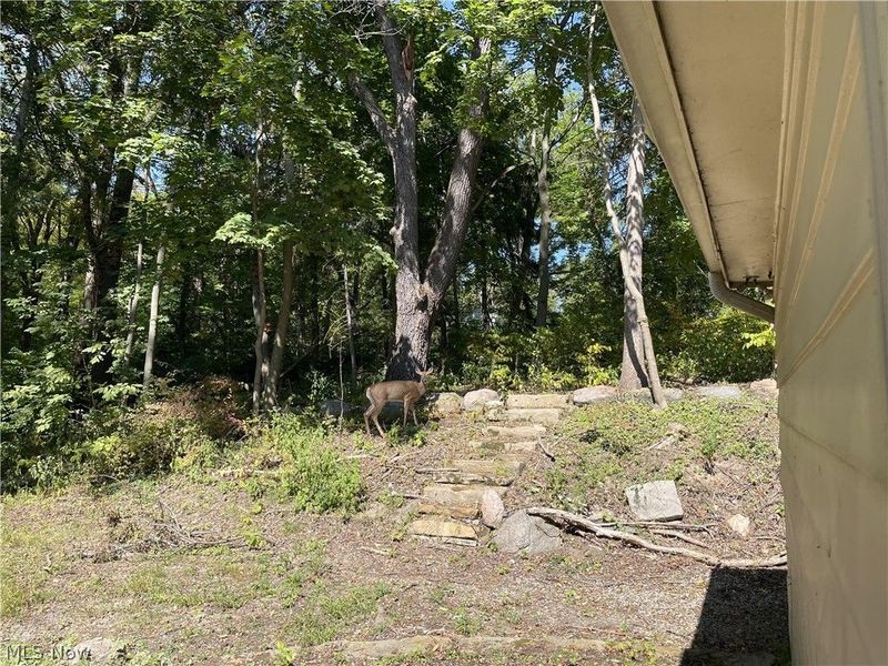 3050 State Road, Cuyahoga Falls, OH 44223 Photo 33