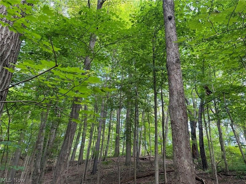 3050 State Road, Cuyahoga Falls, OH 44223 Photo 35