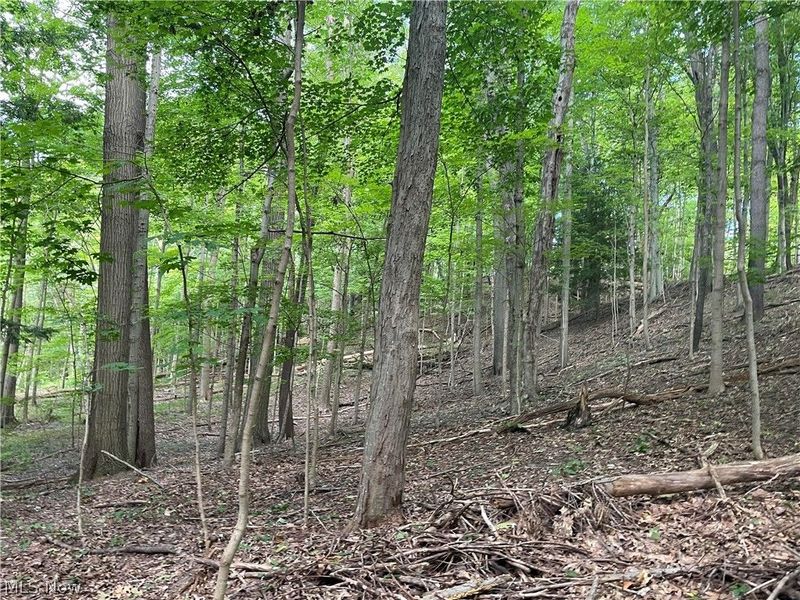 3050 State Road, Cuyahoga Falls, OH 44223 Photo 36