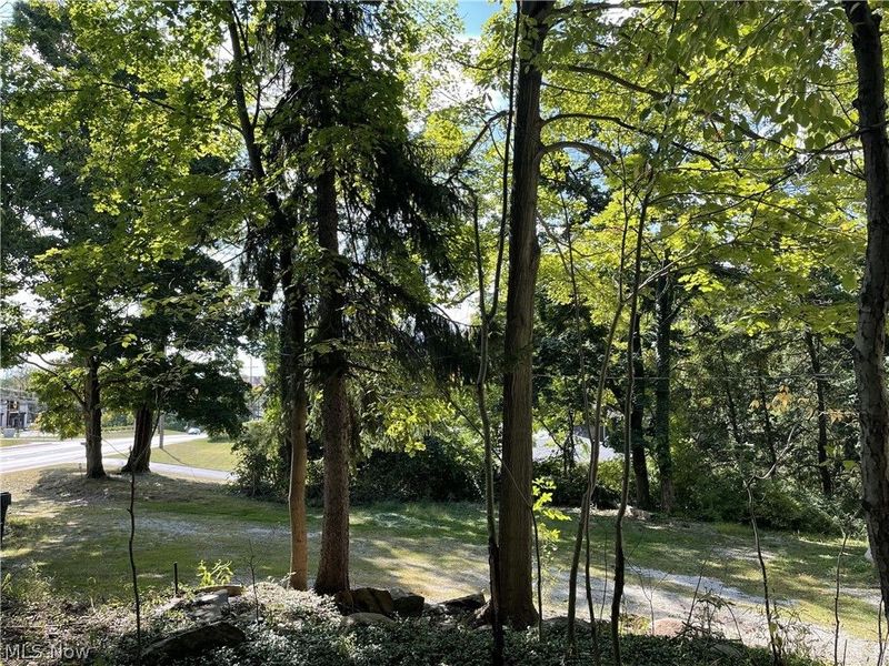 3050 State Road, Cuyahoga Falls, OH 44223 Photo 40