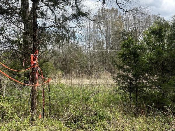 Lot 1 Matthews Drive, Byhalia, MS 38611