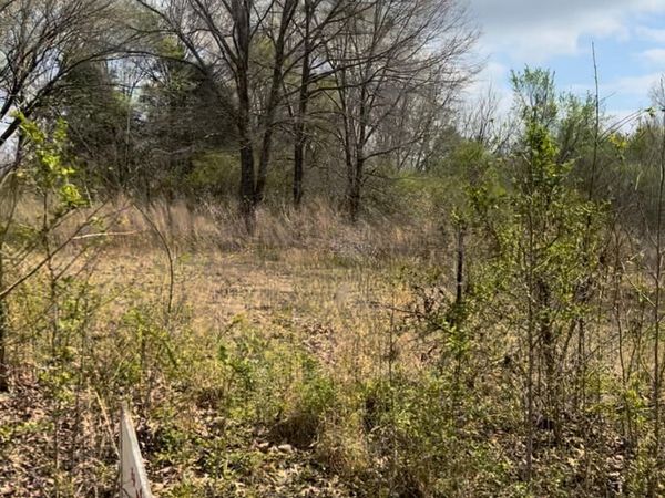 Lot 2 Matthews Drive, Byhalia, MS 38611