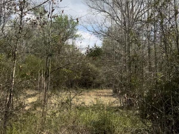 Lot 3 Matthews Drive, Byhalia, MS 38611